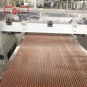 Полностью автоматическая машина для депонирования шоколадной стружки